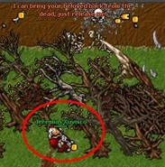 Demon oak 4.jpg (27 KB) Fourth Square