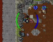 Cavebears Spawning cropped