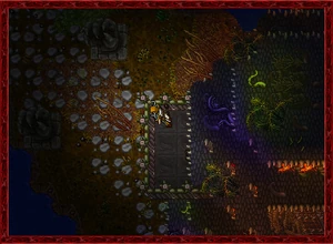 Summer2010 5.jpg (100 KB)