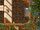 Coastwood 7