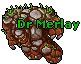 Dr Merlay