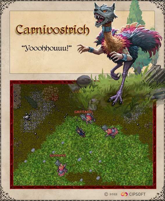 #tibia #lady drica #live ao vivo (Lumbering Carnivor) Spiky Carnivor