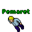 Pemaret