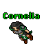 Cornelia