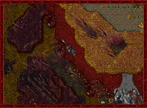 Summer2010 7.jpg (98 KB)