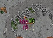 Liberty Bay mountains.