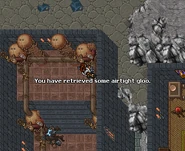 Obtain a Bottle of Airtight Gloo by repeatedly using the Glooth Cauldron and following the prompts.