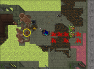 25 Years of Tibia Quest - Valves