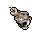 Skull Candle.gif