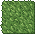 Grass (Store)