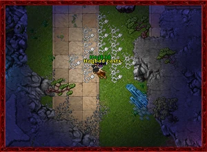 A monk using Greater Flurry of Blows