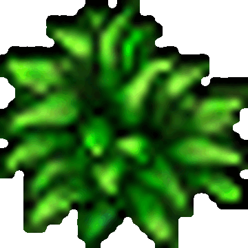 Green wig bush cheap