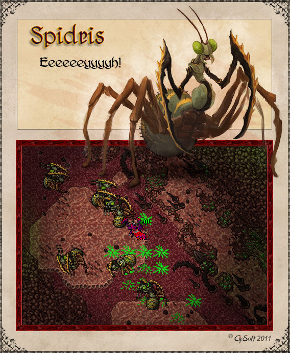 Tibia - Bloodweb (Crystal Spider Boss) 