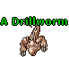A Drillworm
