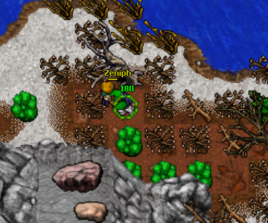 The Shattered Isles Quest - Tibia Wiki