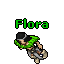 Flora