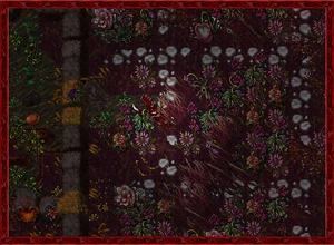 Summer2010 9.jpg (98 KB)