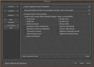 Auto Screenshot Feature