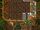 Coastwood 10