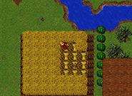 New Wheat Field Sprites (Stonehome)