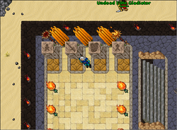 The Order of the Falcon Quest - Tibia Wiki