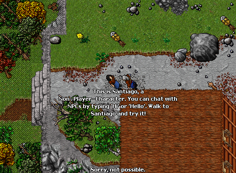 A new players Tibia Journey [PART 2] : r/TibiaMMO