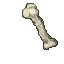 Mammoth Bone