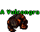 A Vulcongra