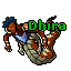 Dhira