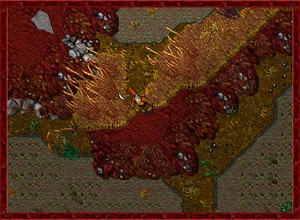 Summer2010 6.jpg (93 KB)