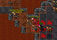 A Knight and Druid team.