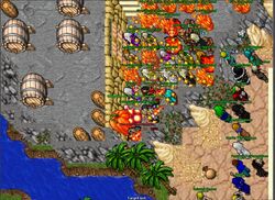 Fiehonja – Tibia Wiki