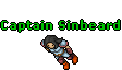 Captain Sinbeard