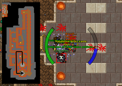 Grave Danger Quest, Tibialatin Wiki