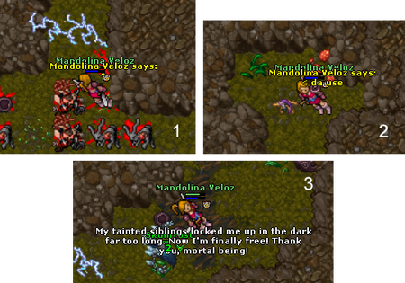 Threatened Dreams Quest | Tibialatin Wiki | Fandom