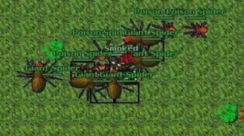 #tibia #lady drica #live ao vivo (Lumbering Carnivor) Spiky Carnivor