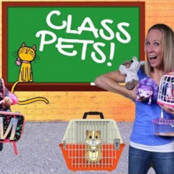 Tic tac toy class pet best sale