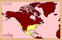 Mapa de distribución de Didelphis virginiana