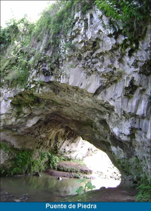 Puente de Piedra