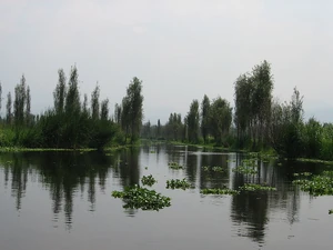 Vista de la zona chinampera de Xochimilco.
