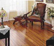 Guanandi - Jacareuba piso