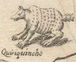 En el mapa de  de  el quirquincho aparece prácticamente como un ser fabuloso, acompañado de hombres con colas y monstruos marinos.