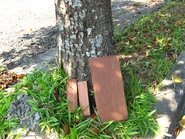 Corteza, madera & parquets