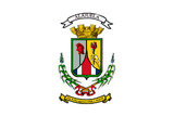 Bandera Provincial