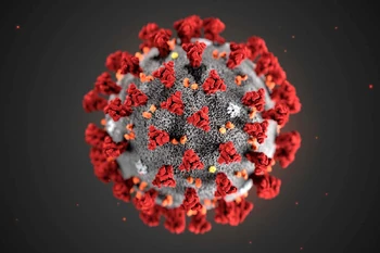SARS CoV2, the virus behind the COVID-19 pandemic decimating the human playerbase.
