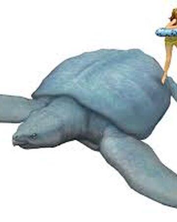 Archelon Tier Zoo Wiki Fandom Archelon Tier Zoo Wiki Fandom