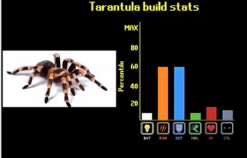 Tarantula Tier Zoo Wiki Fandom