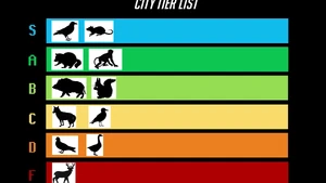The City Tier List