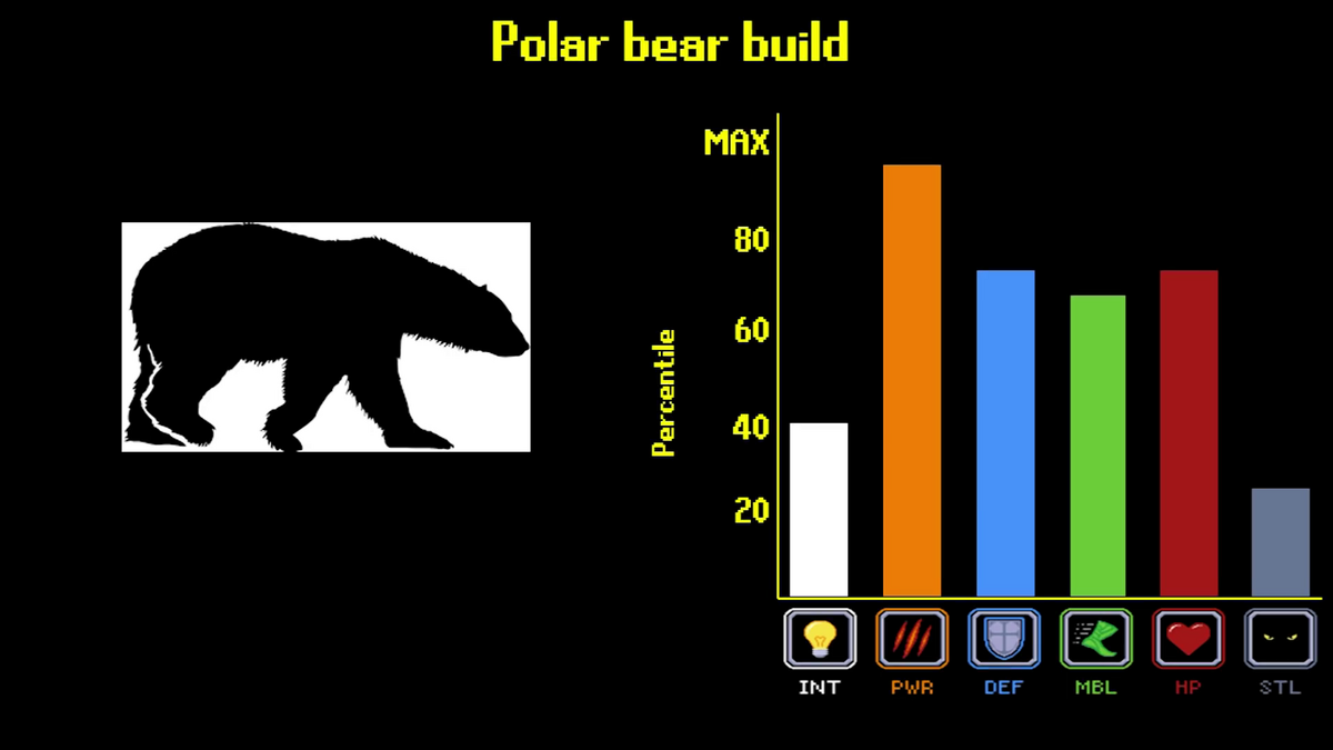 Polar Bear Tier Zoo Wiki Fandom