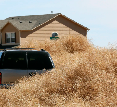 Tumbleweed, Re-Tail Wiki